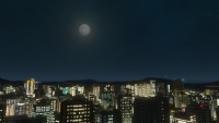 Cities Skylines