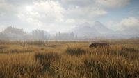 TheHunter Call of the Wild