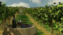 Winery Simulator