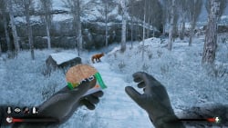 Winter Survival Simulator