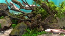 Behind Glass: Aquarium Simulator