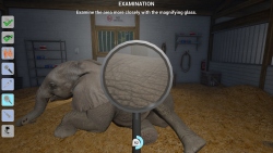 My Life Zoo Vet