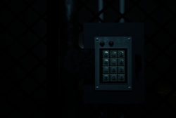 Forest Asylum