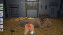 My Life Zoo Vet