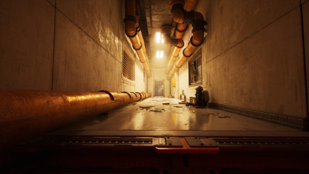 The Last Caretaker