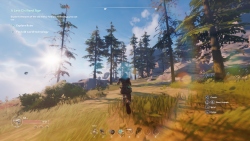 Lost Skies