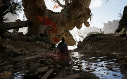 Echoes of Yi : Samsara