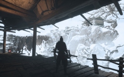 Echoes of Yi : Samsara