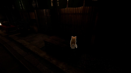 Kyoto Anomaly