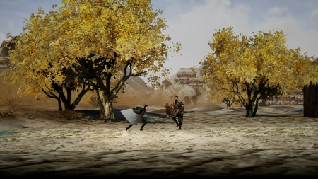 the Shadow of Swallow