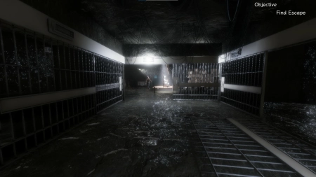 Synthetic Captive
