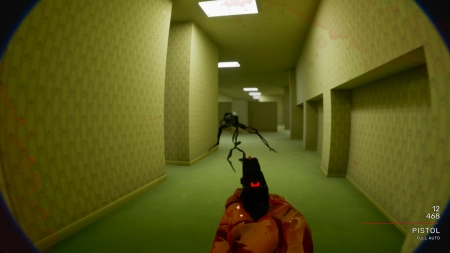 Backrooms Bodycam