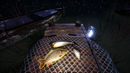 Out Fishing
