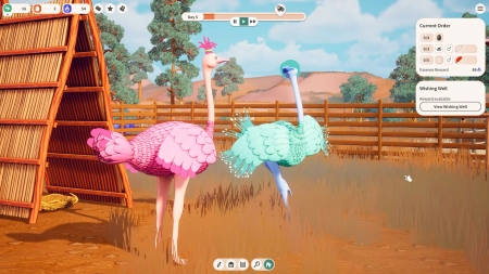 Ostrich Farm