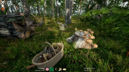 Mushroom Season