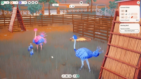Ostrich Farm